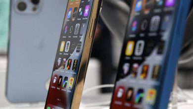 Фото - LG потерпела поражение в сражении за iPhone 14 Pro из-за проблем с качеством. Экраны поставляет только Samsung