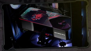 Фото - NVIDIA и CD Projekt RED разыгрывают GeForce RTX 4090 с уникальной задней панелью