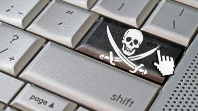 Фото - В рунете увеличился спрос на пиратский контент — более всего востребованы голливудские фильмы