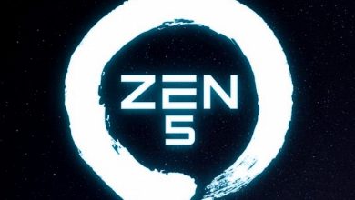 Фото - HWiNFO скоро получит раннюю поддержку микроархитектуры AMD Zen 5