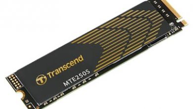 Фото - SSD-накопители Transcend MTE250S снабжены тонким графеновым радиатором