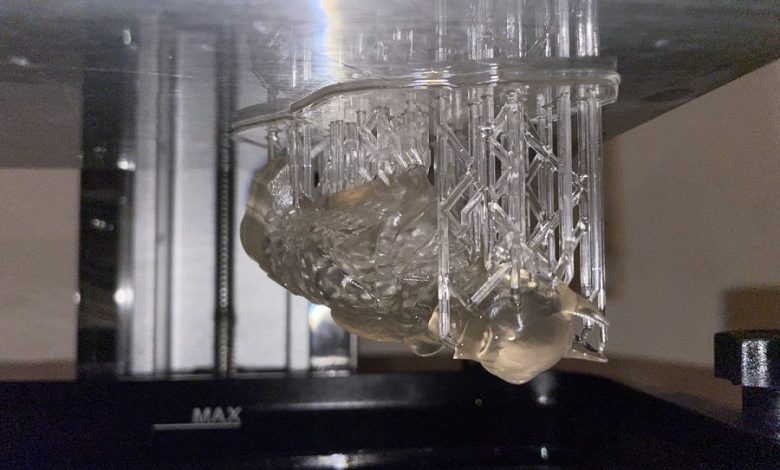 Фото - В России создали материал для 3D-печати биоразлагаемых имплантатов