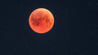 Фото - Есть что посмотреть: завтра пройдёт полное затмение Луны, в России можно наблюдать