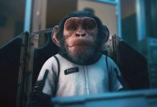 Фото - Китайские учёные хотят провести эксперимент по спариванию обезьян в космосе